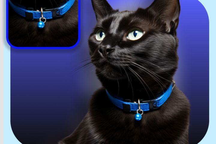 Дизайнер карточек товаров для маркетплейсов - 2117155