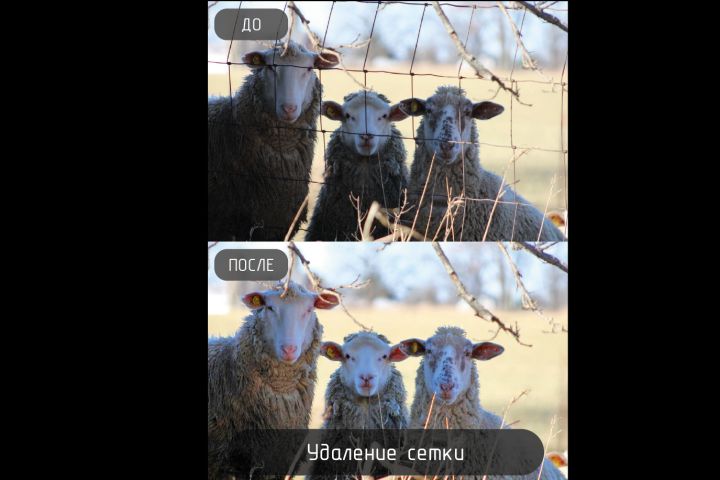 Удаление объектов на фотографиях - 2119398