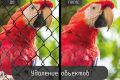 Удаление объектов на фотографиях