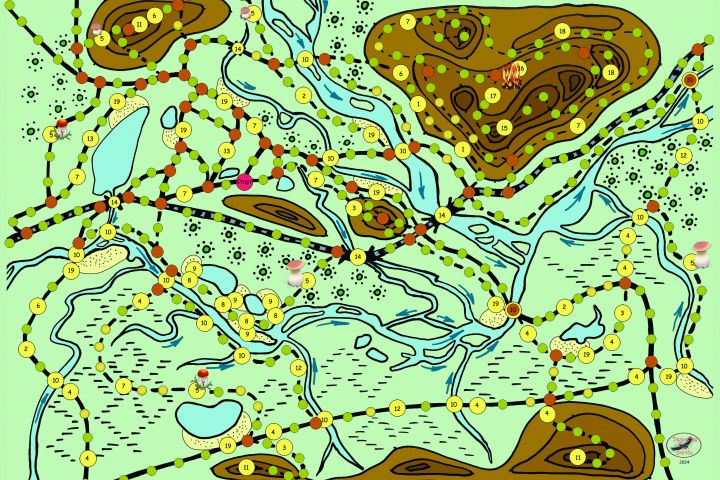 Разработка и прорисовка настольной игры-ходилки по вашей тематике - 2119639