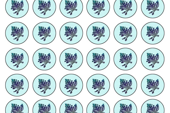 Разработка и прорисовка настольной игры-ходилки по вашей тематике - 2119642