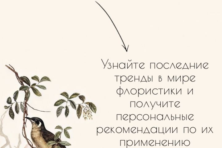 Создание сайтов на WordPress - 2123724