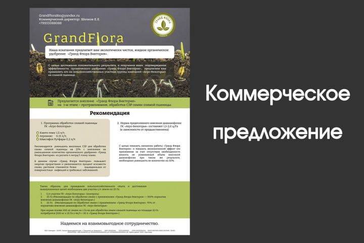 Дизайн коммерческого предложения, фирменный бланк - 2124323