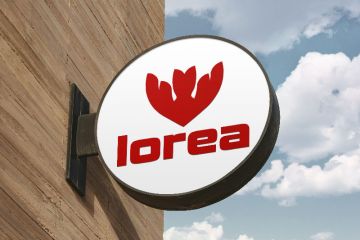 Готовый бренд (название, логотип, фирменный стиль)