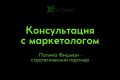 Консультация с Полиной Фишман - стратегическим партнером