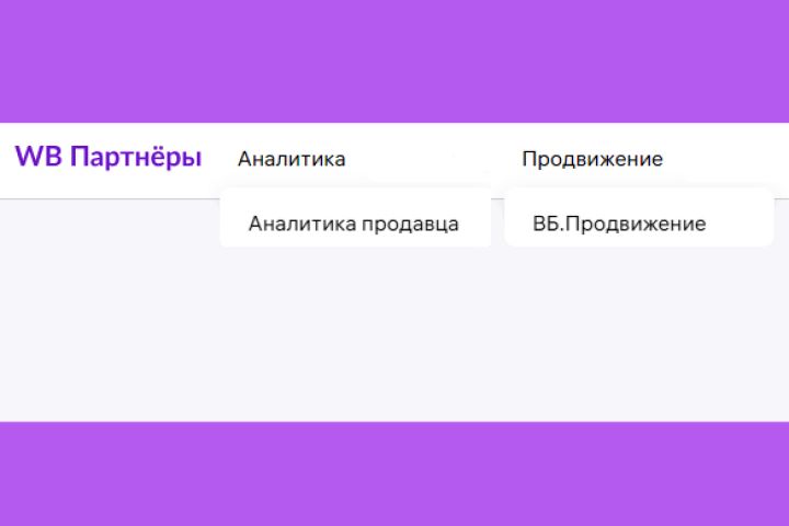 Выгрузка статистики личного кабинета продавца Ozon, Wildberries - 2129900