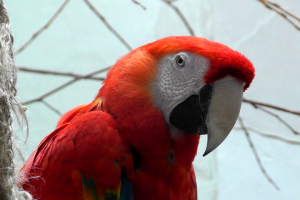 Московский зоопарк 2019