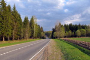 Сельская дорога