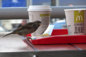 Отличного дня!