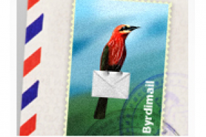 Вариант лого для сайта Birdymail.