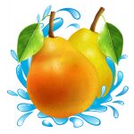 img949031.png