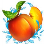 img937205.png