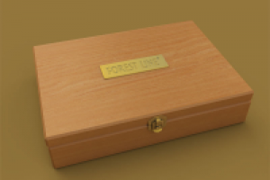 интерактивная презентация