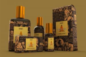 интерактивная презентация