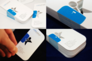 Визитки ЛарсГрупп 2009