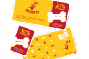 Флаер "Котопес"