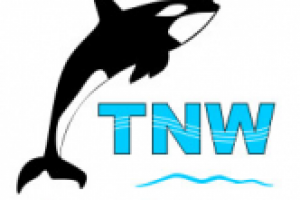 Логотип компании TNW