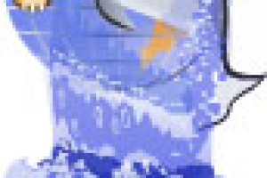 Официальный логотип компании обмена электронных валют Универсал