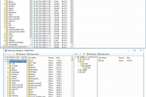 DigitalPhotos. Защита от копирования с драйвером