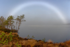 Туманная радуга