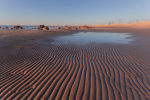 Узоры Финского залива