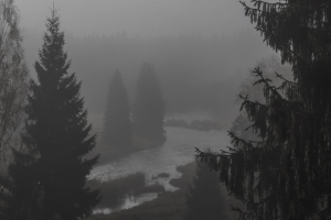 монохромное утро