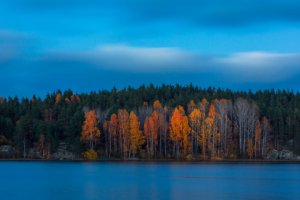 Карельская осень