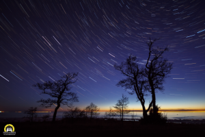 Звездопад над Финским Заливом