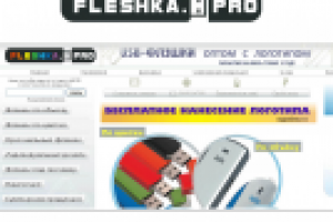 Логотип для сайта fleshka.pro