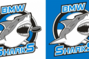 Логотип для хоккейной команды BMW SHARKS