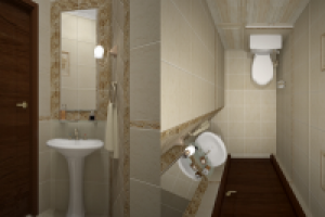 гостевой санузел