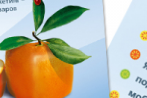 листовка MBHold