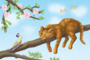 из жизни котов