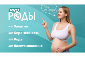 Работа 4381778