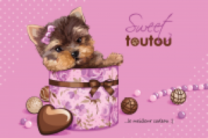 Sweet Toutou