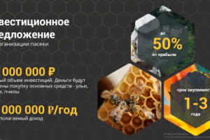 Презентация инвест проекта Пасеки