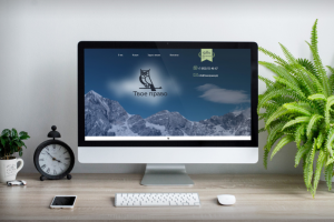 Юридическая компания http://твоеправо.рус/