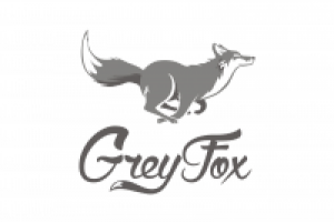 Grey Fox