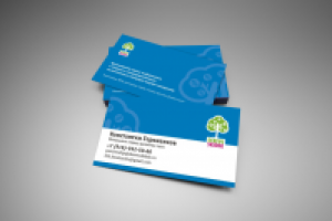 Визитка Derevo Skidok