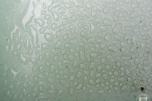 ЖиВоЙ ДиЗаЙн!