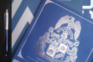 Фирменный стиль компании "Эколос"