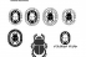 Бренд бук SCARABS клуба