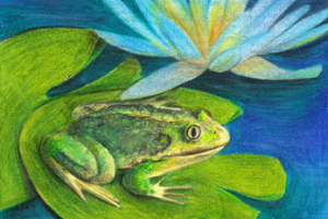 иллюстрация