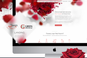 Лендинг для 2х компаний, продающих розы из Казахстана
