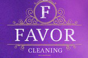 фирменный стиль клининговой компании