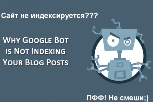 img3706165.png