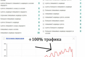 SEO ТОП "Плюшевые медведи"