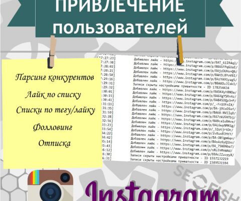 img3706307.png