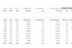 Настройка Яндекс Директа