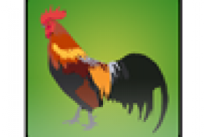 Иконка Android-приложения